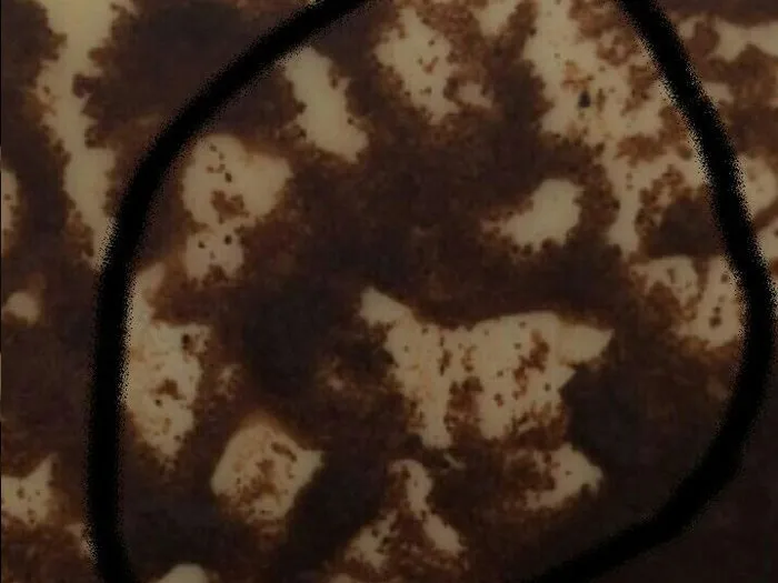 Запись на прием к гадалке Анне в Вязьме